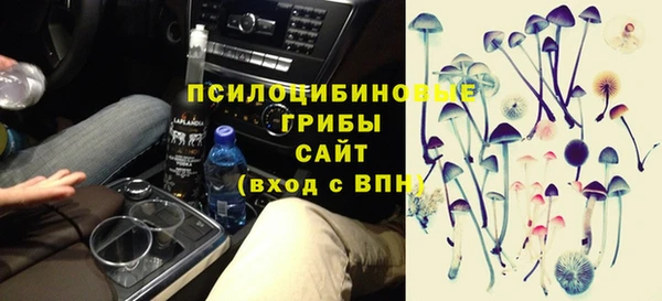 бошки Надым