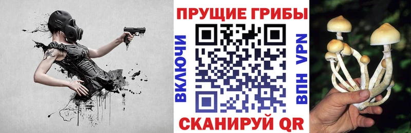 Псилоцибиновые грибы Cubensis  МЕГА ссылка  Мамоново 